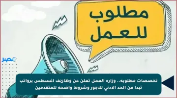 تخصصات مطلوبة.. وزارة العمل تعلن عن وظائف أغسطس برواتب تبدأ من الحد الأدنى للأجور وشروط واضحة للمتقدمين